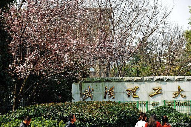 2023武汉理工大学录取解析，本地录取占26%，14个二级学院超300人！教育新闻