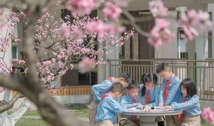 小学“作业熔断机制”引热议！21:30停止作业，没完成也不受批评