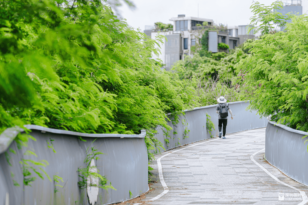 吃饭、健身“被直播”？深圳人表示：受不了