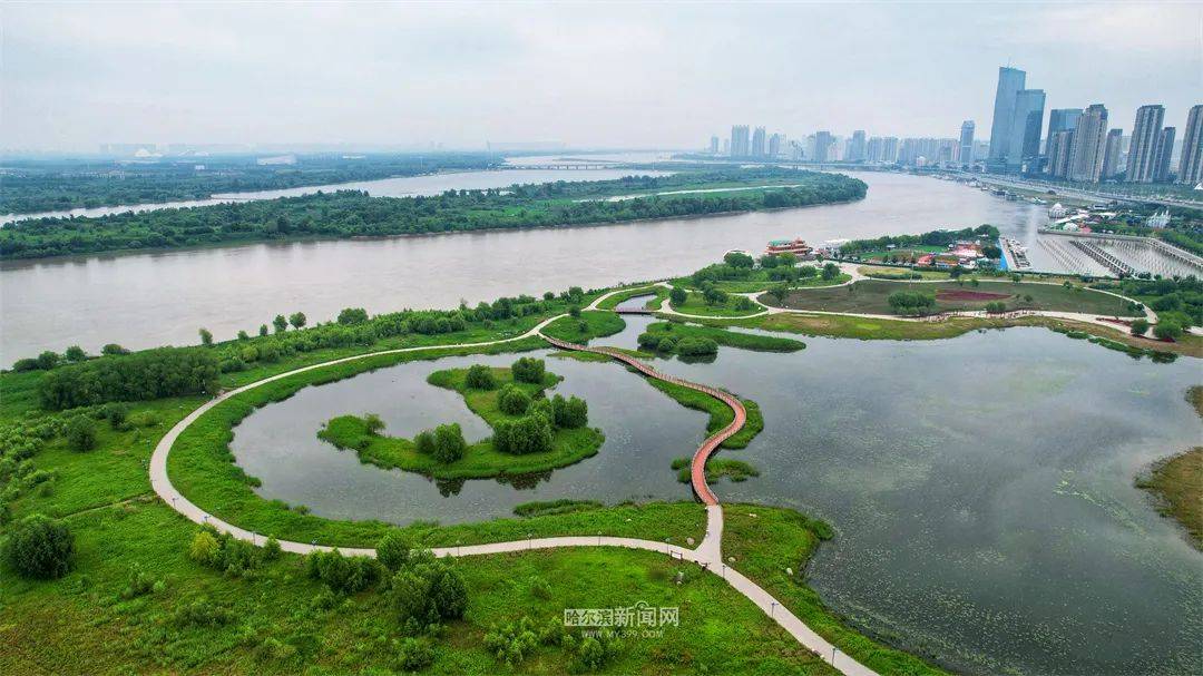 冰城降雨降温，市民尽享凉爽天气