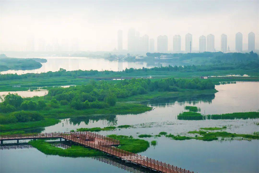 冰城降雨降温，市民尽享凉爽天气