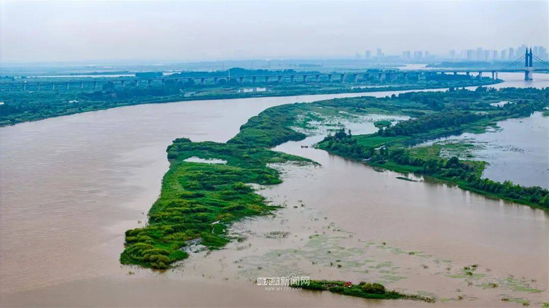 冰城降雨降温，市民尽享凉爽天气