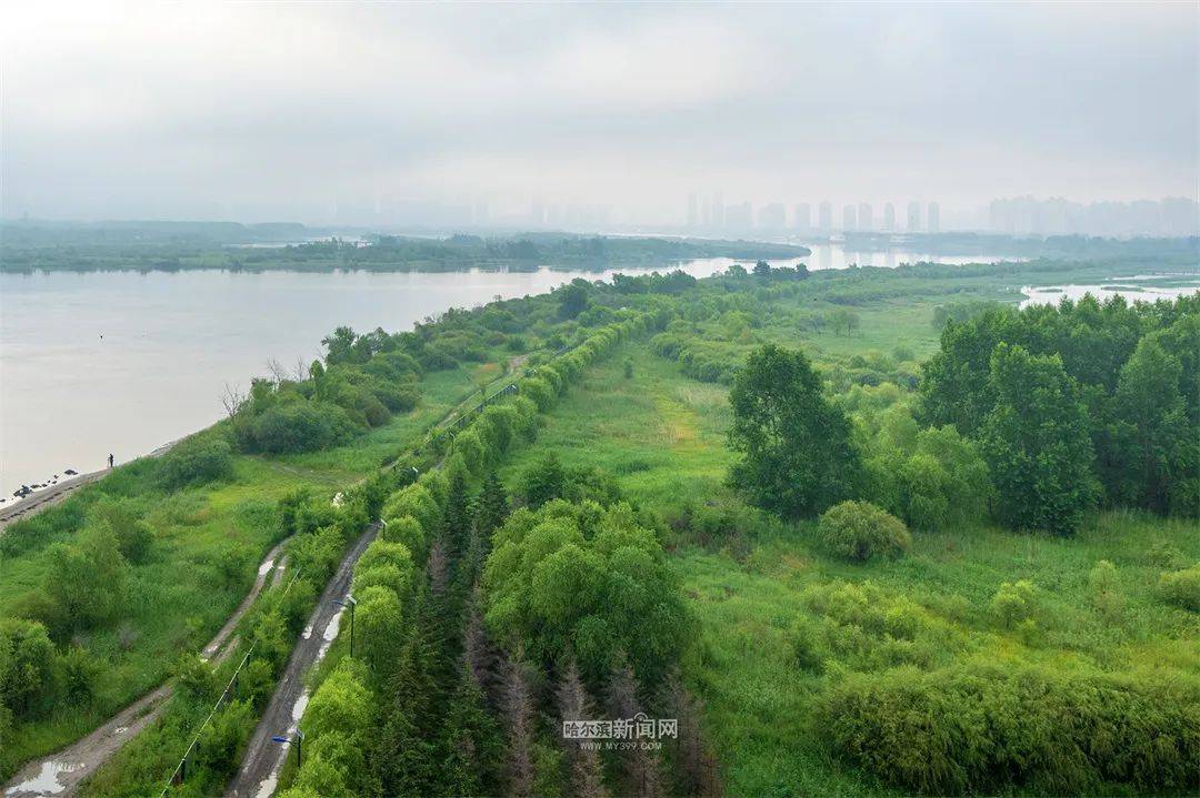 冰城降雨降温，市民尽享凉爽天气