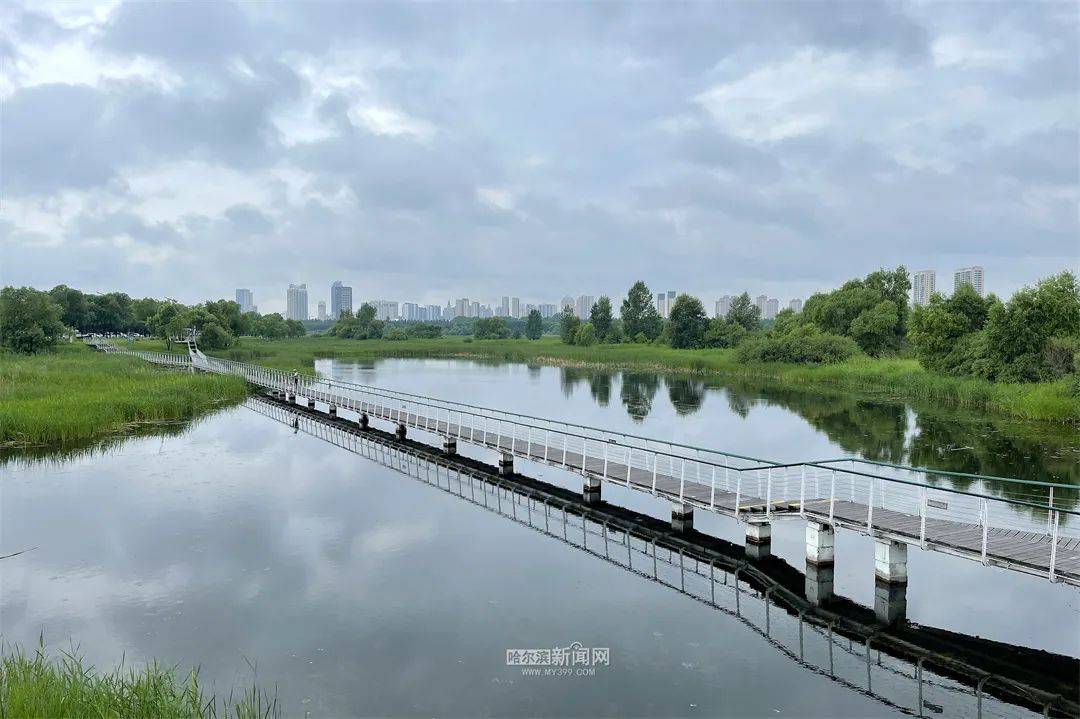 冰城降雨降温，市民尽享凉爽天气