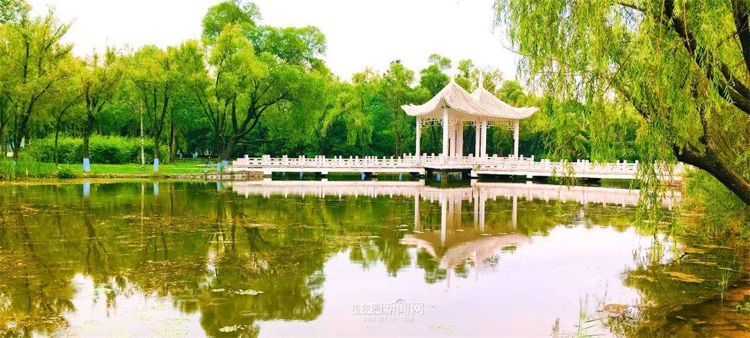 冰城降雨降温，市民尽享凉爽天气