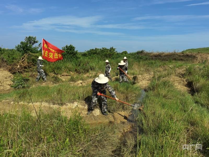 新闻特写：堤坝上的老中青