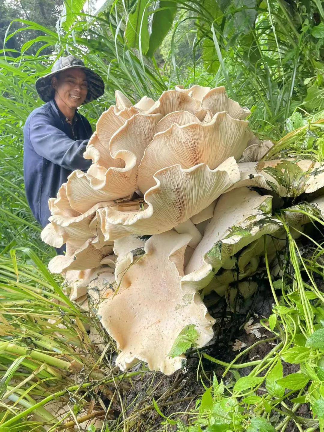 7月22日·上海早新闻