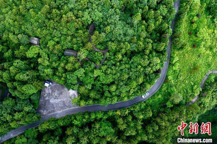 重庆彭水：高山“避暑经济”持续升温