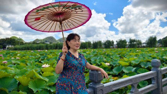 「图片新闻」安龙：夏日荷花惹人醉