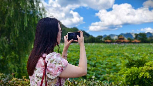 「图片新闻」安龙：夏日荷花惹人醉