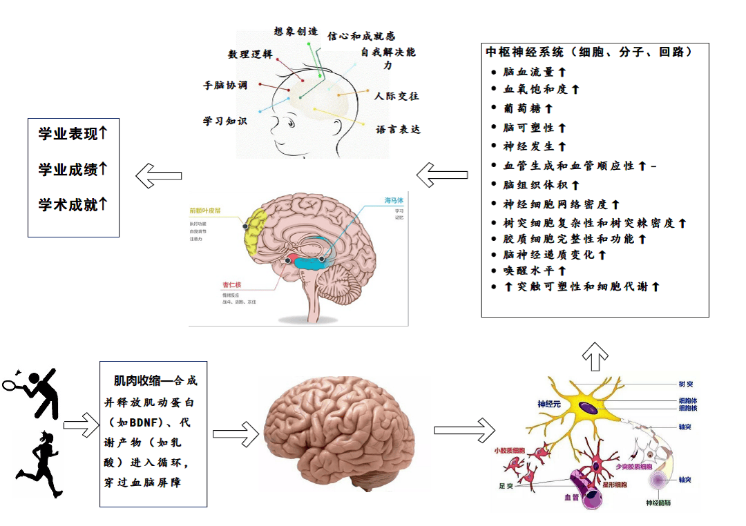 看不起体育生？“啪啪啪”打脸来了