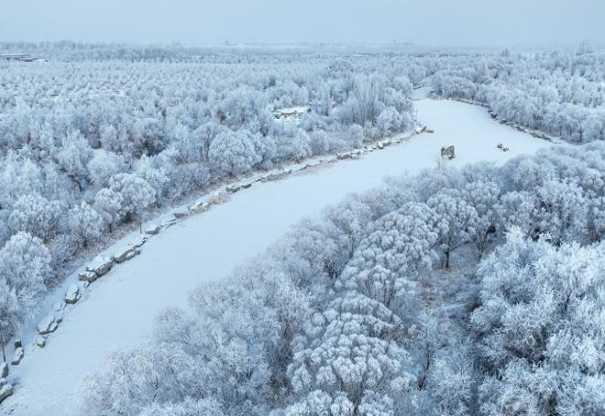 中国,大雪,冷雨,交通,Leo专属