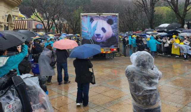 旅韩大熊猫“福宝”启程返回中国